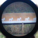 P�ssisiluetti 100 m suurennos 25x